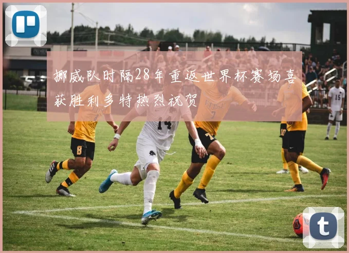 挪威队时隔28年重返世界杯赛场喜获胜利多特热烈祝贺