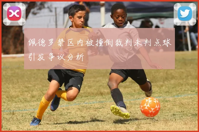 佩德罗禁区内被撞倒裁判未判点球引发争议分析